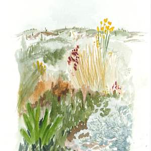 Tuscany Study 2 by Jo Davis