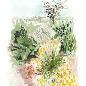 Tuscany Study 1 by Jo Davis