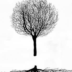 Tree With Roots by Jo Davis