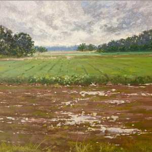 Soybean Field After Rain by Trevor Joseph Thomas, Image 2.