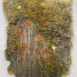 “Beautiful Invaders 1: Trumpet Vine" by Trevor Joseph Thomas