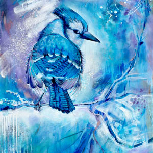 Blue Jay by Ursula Hirländer