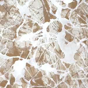 Composition Number 2: Arabeske in C Major, Shuman by Julia iSABEL 