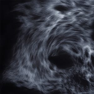 A Silent Truth by Bea Ortiz  Image: Detail