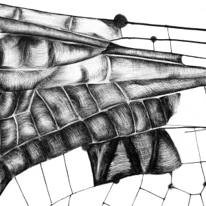 Wings of a Dragonfly by Bea Ortiz 