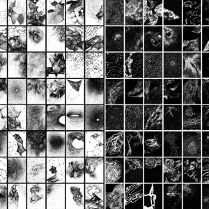 101020 - Series: Patterns of Change by Bea Ortiz  Image: Series: Patterns of Change