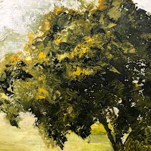Walk to the Park - (Misty Morning Series #1) by Madeleine Elkin 
