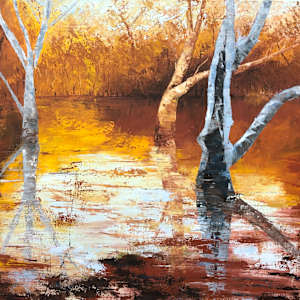 Evening Reflections, Cygnet River by Madeleine Elkin, Image 1.