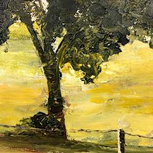 Walk to the Park - (Misty Morning Series #1) by Madeleine Elkin 