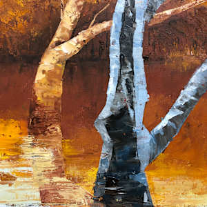 Evening Reflections, Cygnet River by Madeleine Elkin, Image 2.