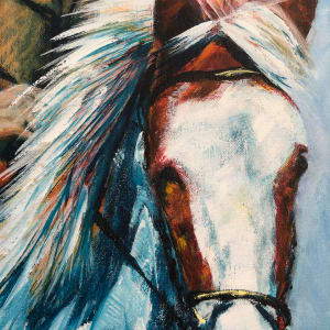 A Man & His Horse Called Jango 