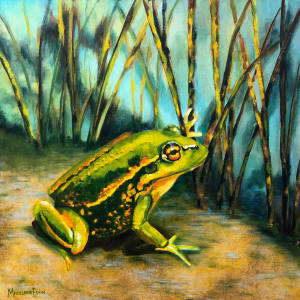 Southern Bell Frog 
