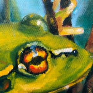 Southern Bell Frog 