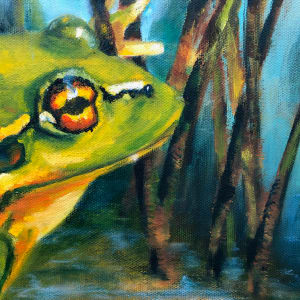 Southern Bell Frog 