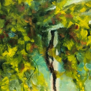 Tania’s Vine by Madeleine Elkin 