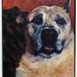 Hachi by Madeleine Elkin