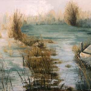 Shrouded (Misty Morning Series #6) by Madeleine Elkin 