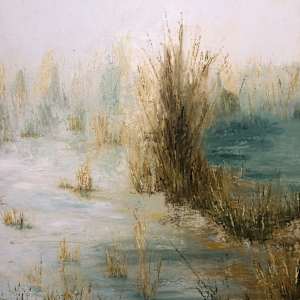 Shrouded (Misty Morning Series #6) by Madeleine Elkin 