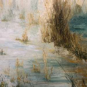 Shrouded (Misty Morning Series #6) by Madeleine Elkin 