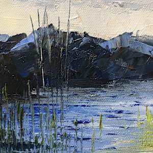 The Early Bird  - (Misty Morning Series #11) by Madeleine Elkin 