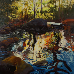 Pike River Reflections by Liz Ann Lange