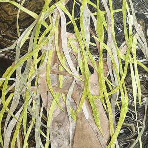 Taos Serendipity #2: Willow by Stafford Wood