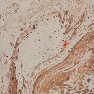 Serendipity #1 by Stafford Wood