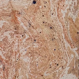 Serendipity #2 by Stafford Wood