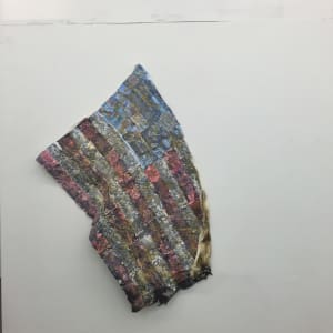 For Which it Stands by Lenie Caston-Miller 