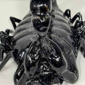Scorpio by Lenie Caston-Miller 