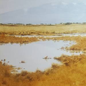 Wetlands by Scott Snarr