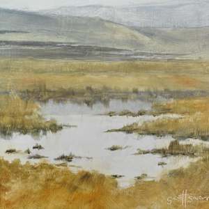Benjamin Wetlands by Scott Snarr, Image 11.