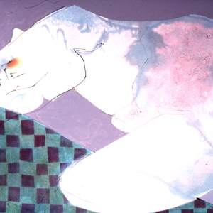 The Green Cat by Gerrit Greve  Image: Prior state