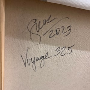 Voyage 325 (Sailors' Delight) by Gerrit Greve 