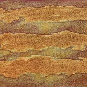 DreamFabric 12 by Gerrit Greve, Image 2.