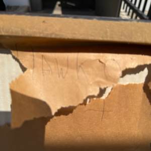 Hawk Woman by Gerrit Greve 