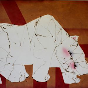 Cat Imitating a Rhino by Gerrit Greve 