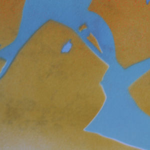 Orange and Yellow Birds by Gerrit Greve 