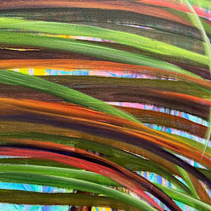 2022 Reeds 04-27 by Gerrit Greve 