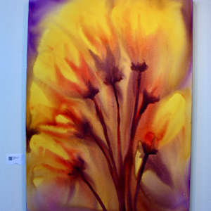 64 Yellow Flowers by Gerrit Greve 
