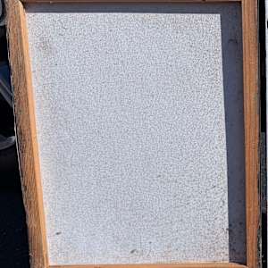 Second Born Cat* by Gerrit Greve 