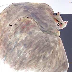 Wise Cat by Gerrit Greve 