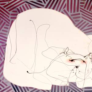 White Cat by Gerrit Greve 