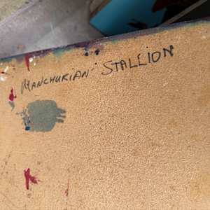 Manchurian Stallion by Gerrit Greve, Image 2.