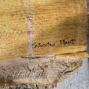 Saturated Plant by Gerrit Greve, Image 2.
