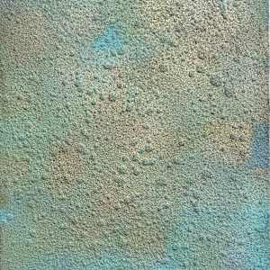 Corrosion 1* by Gerrit Greve, Image 1.