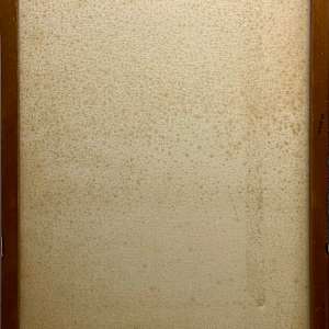 Headstand by Gerrit Greve 