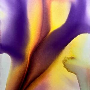 18 by Gerrit Greve