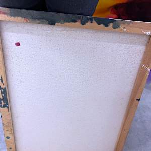 Two Fish by Gerrit Greve 