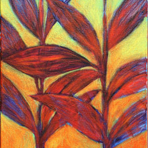 6100 by Gerrit Greve